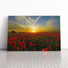 Landscape Red Poppy Meadow