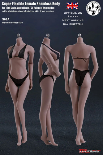 Tbleague phicen s02a seamless - tbleague,