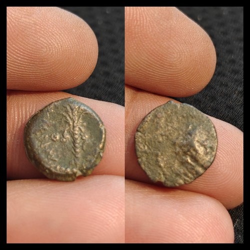 Ancient greek coin seleucid - ancient,