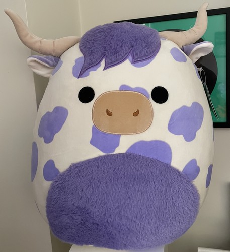 Highland cow squishmallow - highland,