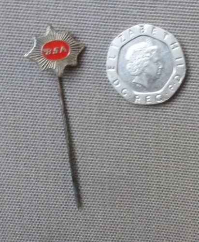 Old lapel pin badge - /,