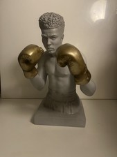 Young Mohammed ￼ali Boxer