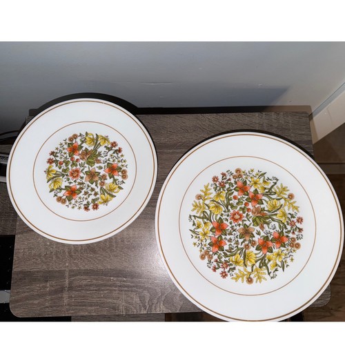 Corelle indian summer - indian,