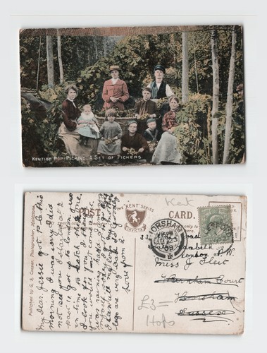 Postcard kentish hop picking - postcard,