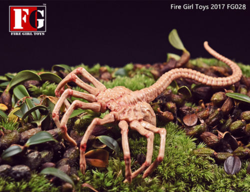 Fire girl toys 6 - girl, predator