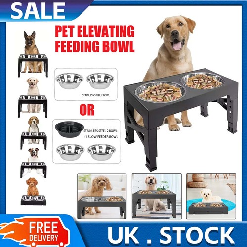 Large dog food feeding - large,