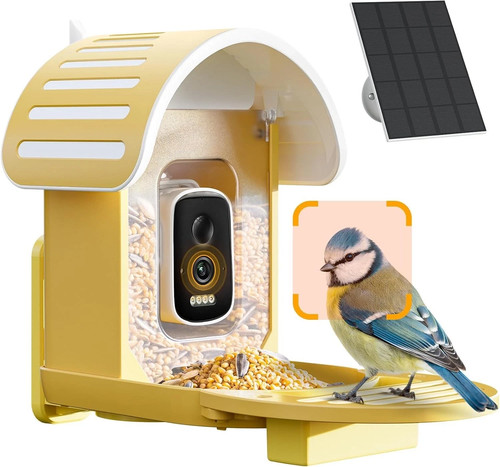 Smart bird feeder with camera - smart,