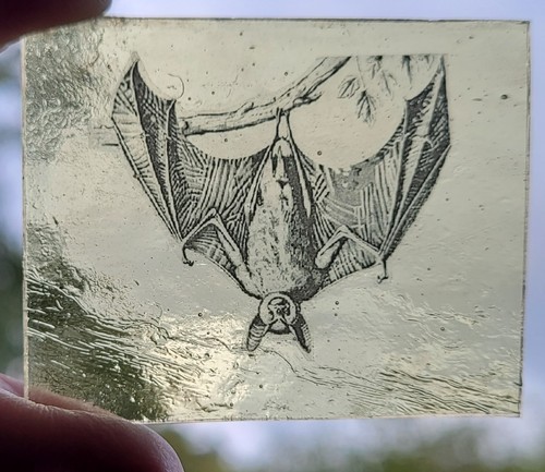 Stained glass bat traditional - stained,