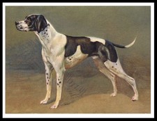 POINTER VINTAGE STYLE DOG ART