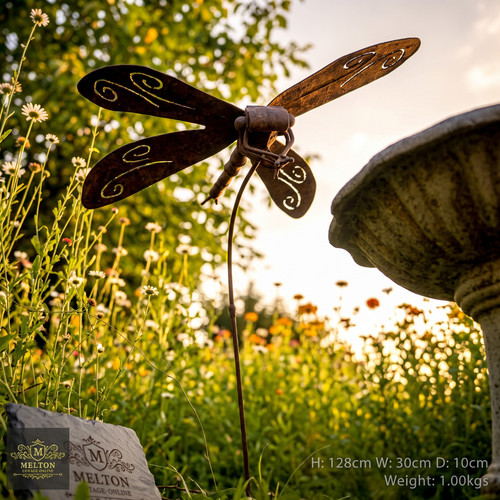 Dragonfly rusty garden - dragonfly,