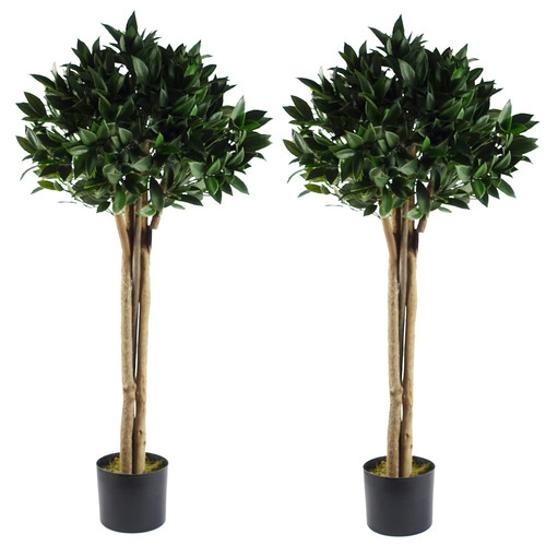 120cm pair bay tree laurel - 120cm,