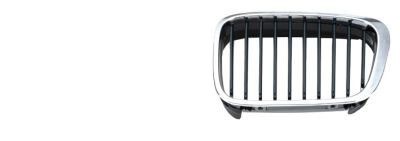 Bmw series e46 - e46, grille
