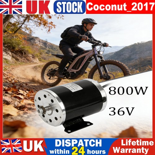 Electric scooter motor 800w - electric, 11