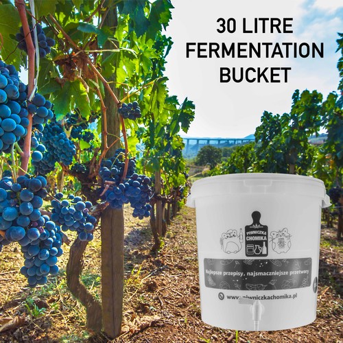 Home brew 30l - home,