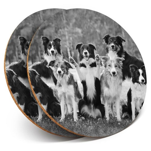 Coasters border - x,