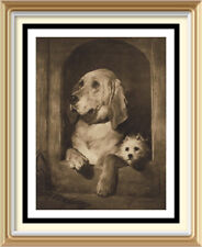 Original c1901 Antique EDWIN