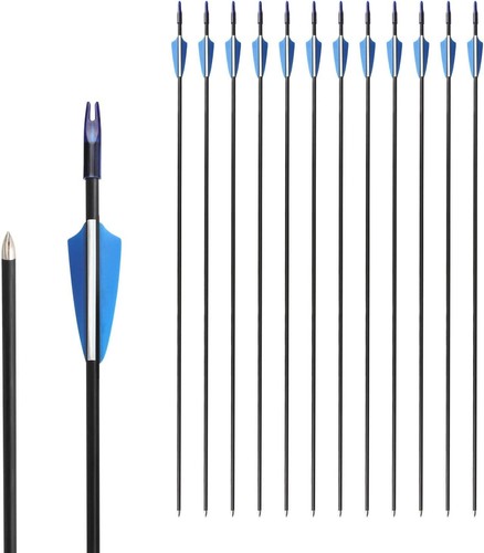 12pcs fiberglass archery - 12pcs,