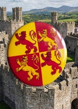Owain Glyndwr Banner - Small