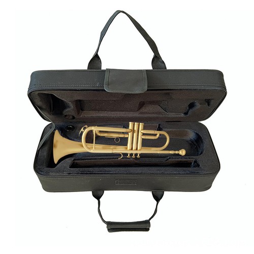 Trumpet gig carrying case - trumpet,
