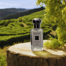 Cypress & Grapevine Eau De