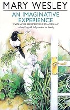 An Imaginative Experience