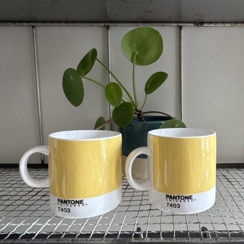 Pantone universe espresso - 2,