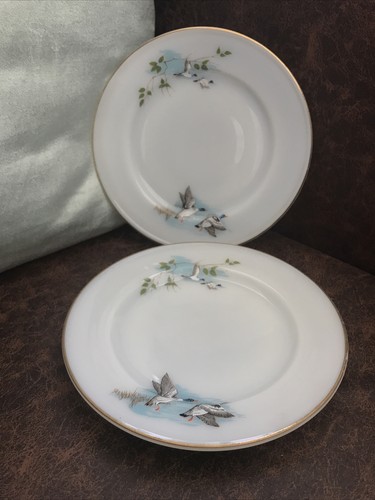 Jaj pyrex wildfowl - jaj,