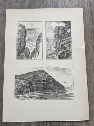 1881 print hoy - print, a