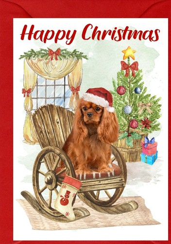 Cavalier king charles spaniel - cavalier,