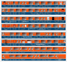 Adhesive Vinyl Coach Decals