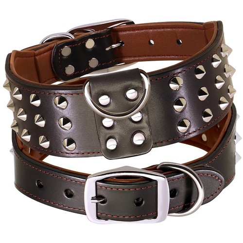Genuine leather spiked dog - spiked,