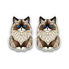 2x Small Himalayan Cat Stained
