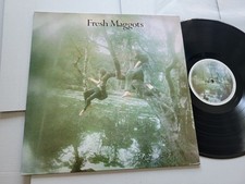 FRESH MAGGOTS - Fresh Maggots