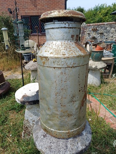Vintage gallon milk churn - milk,