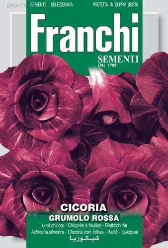 Franchi seeds chicory - franchi,