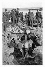 pt1905 - Coal Hewing on the