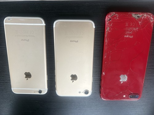 Job lot apple - lot,