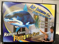 Remote Control Inflatable