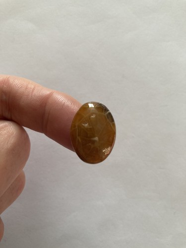 Fossil coral cabachon - fossil,