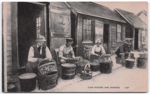 Vintage postcard clam - postcard,