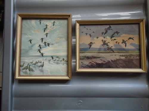 Peter scott matching - peter, pair