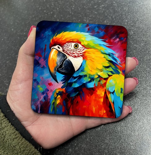 Stunning parrot tropical bird - stunning,