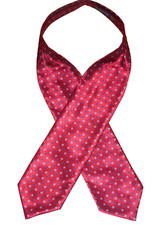 Vintage Lloyd Attree & Smith Cravat Scarf Goodwood Ascot Mod Indie Skins Scooter