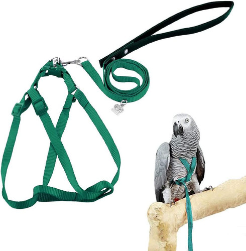 Bird harness leash - bird,