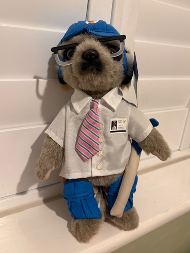 Compare the meerkat - compare,