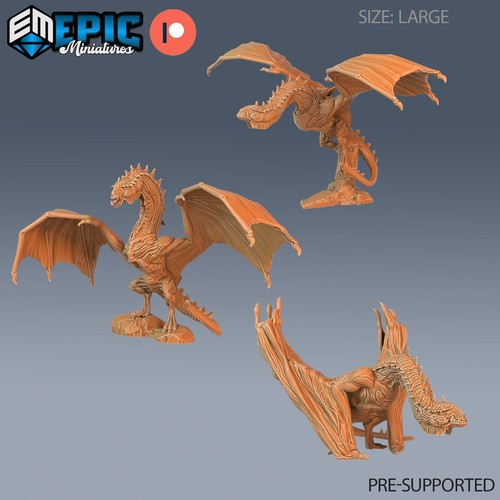 Cave wyvern print d - wyvern,