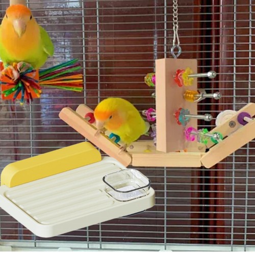 Bird perch stand - bird, corner