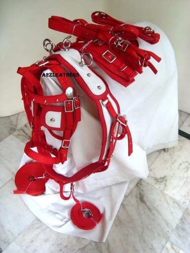 Red white nylon horse - nylon, driving