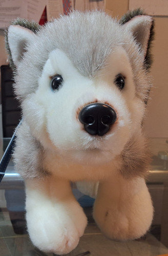Keel toys standing - toys, husky