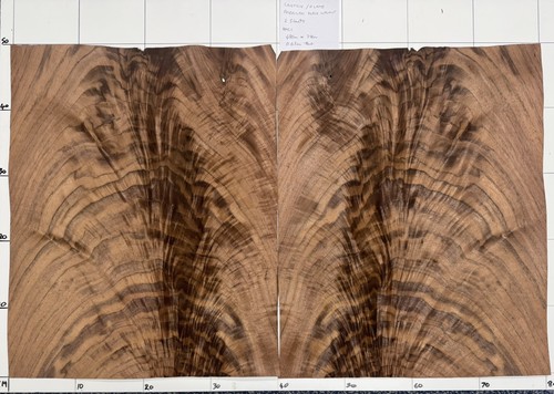 American walnut crotch flame - american,